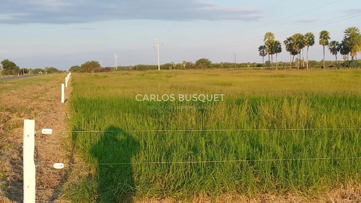 Campo Ref.1704 - Campo ganadero de 1.500 has. en venta en Formosa