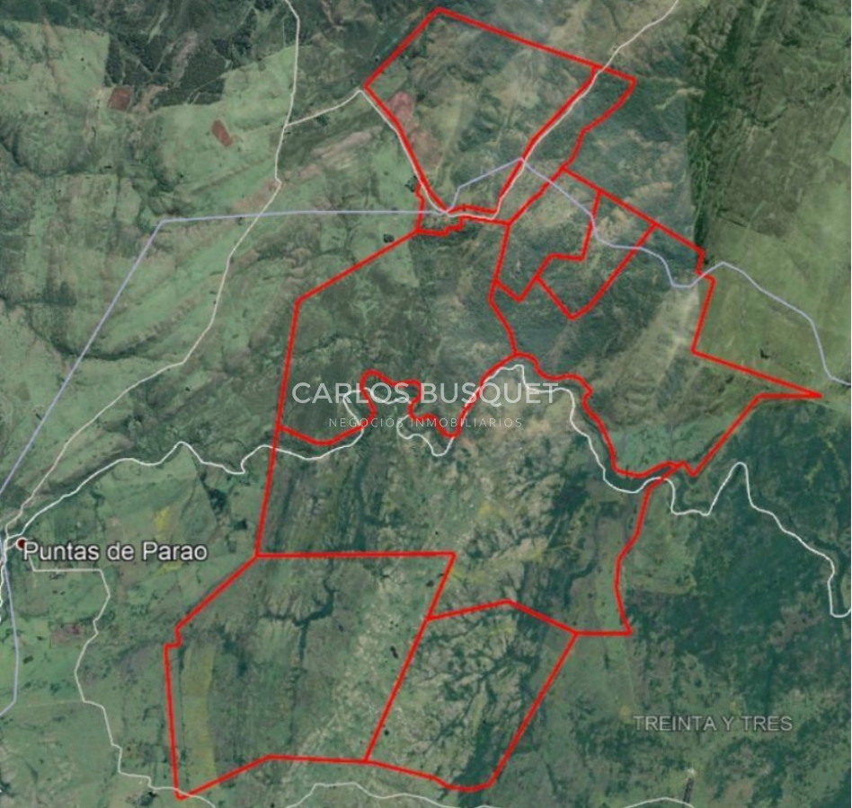 Campo Ref.314 - Campo en venta de 2145 has. en Treinta y Tres - Aptitud forestal- ganadero 