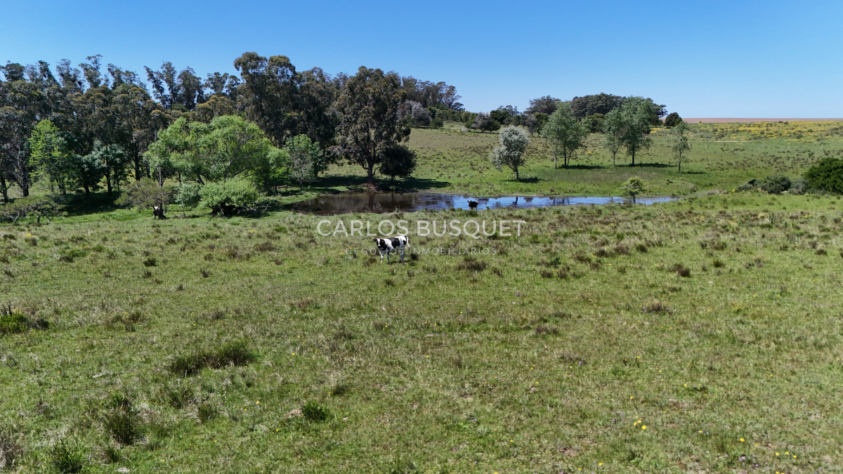 Campo Ref.311 - Campo en venta de 102 Hectáreas zona Ruta 104 