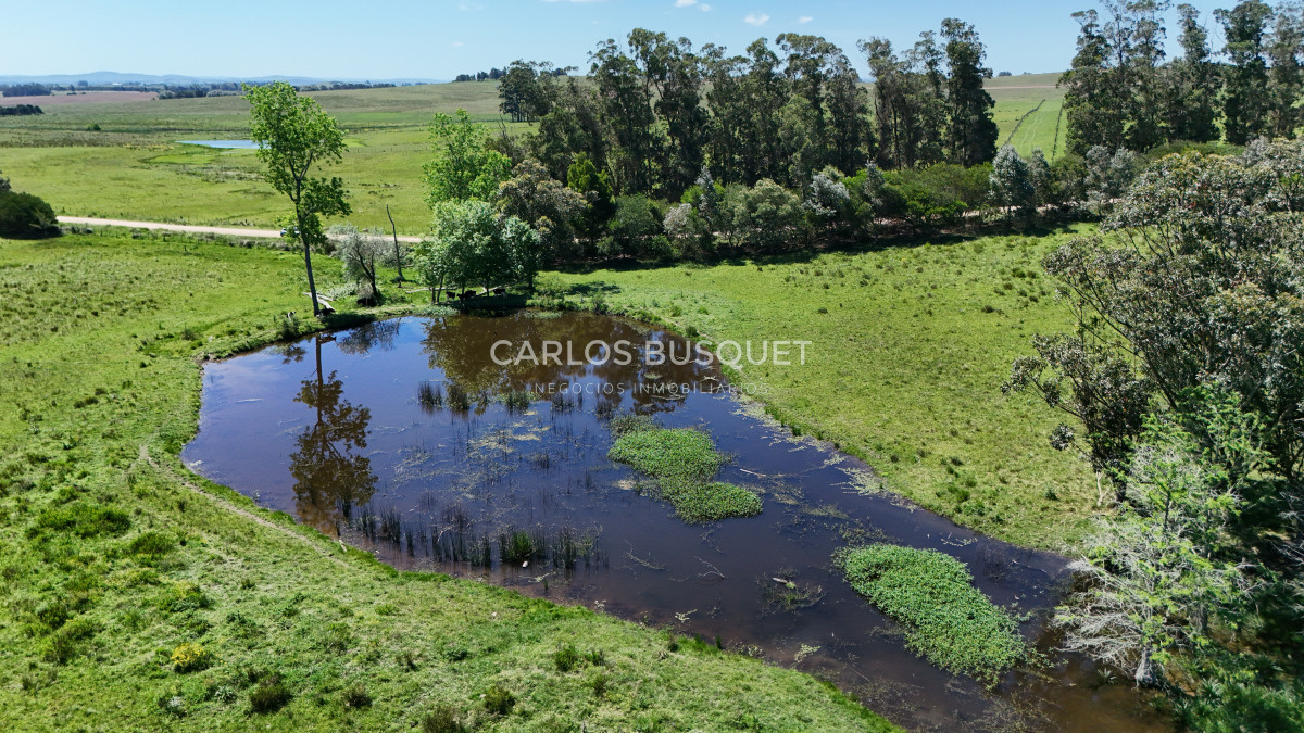 Campo Ref.311 - Campo en venta de 102 Hectáreas zona Ruta 104 