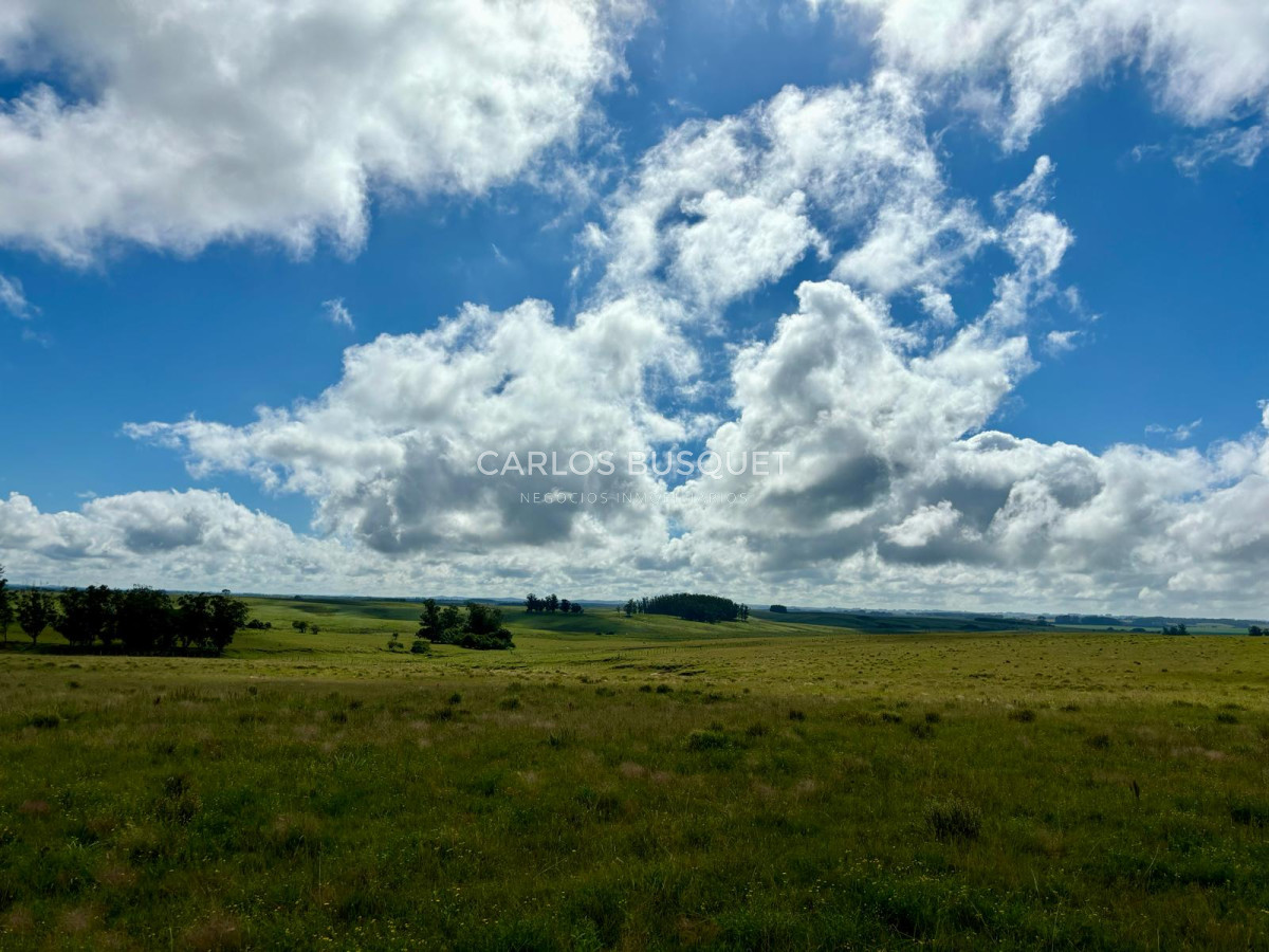Campo Ref.534 - Campo de 65 has. en venta, en Camino Sainz Martinez, Arco del Sol, Garzon 