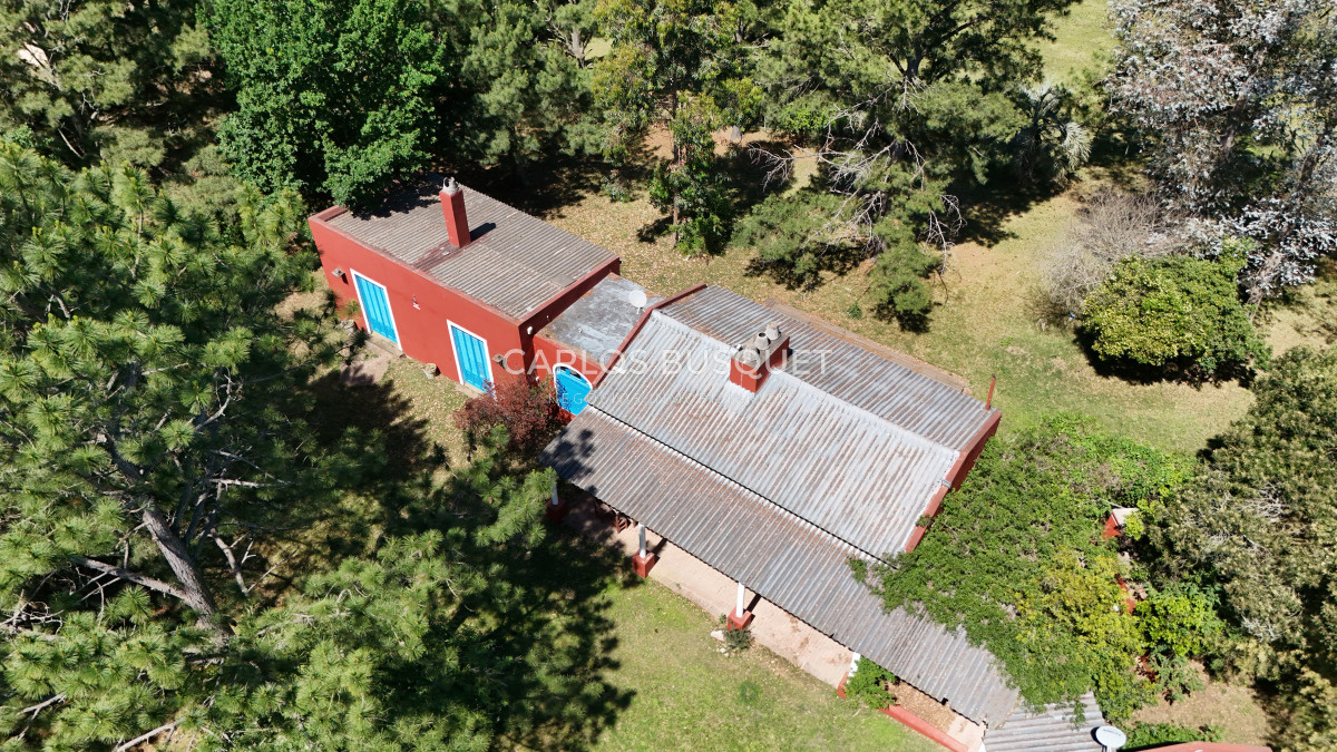 Campo Ref.311 - Campo en venta de 102 Hectáreas zona Ruta 104 