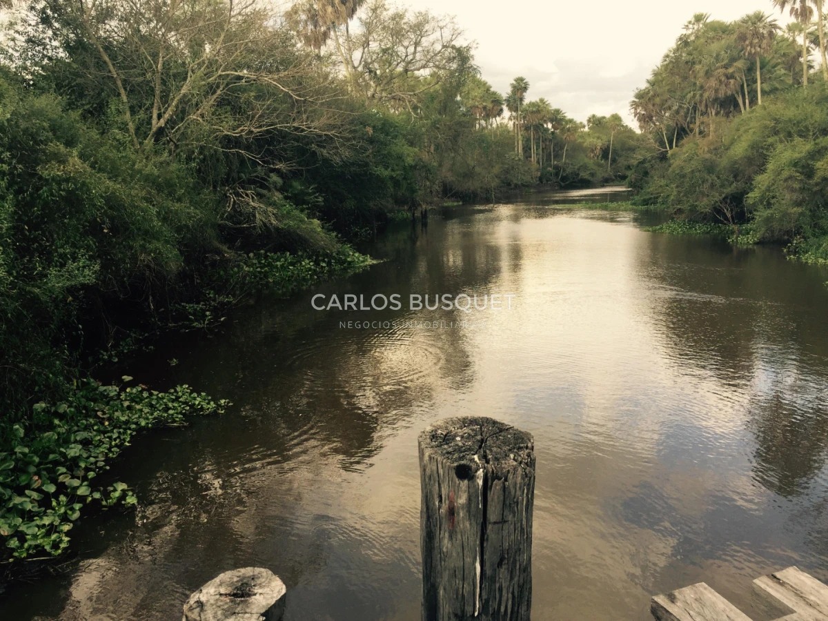 Campo Ref.1707 - Venta de 6.000 has. ganaderas en Formosa