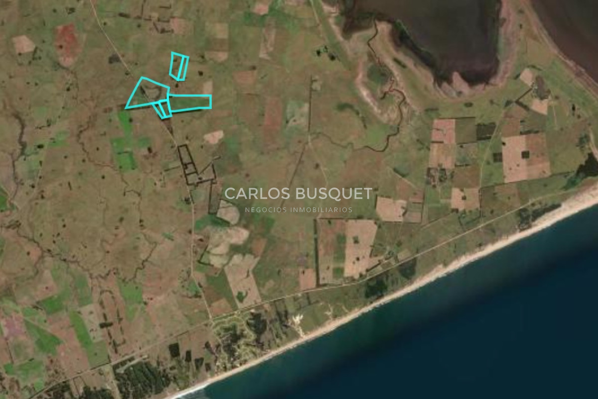 Campo Ref.1160 - Campo Agricola 140 has Garzon - Las garzas