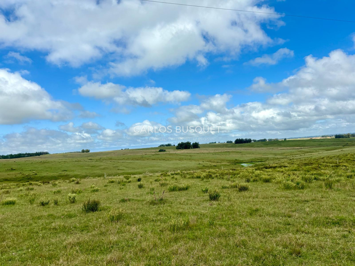 Campo Ref.536 - Campo en venta de 78 has.  en Camino Sainz Martinez, Jose Ignacio 
