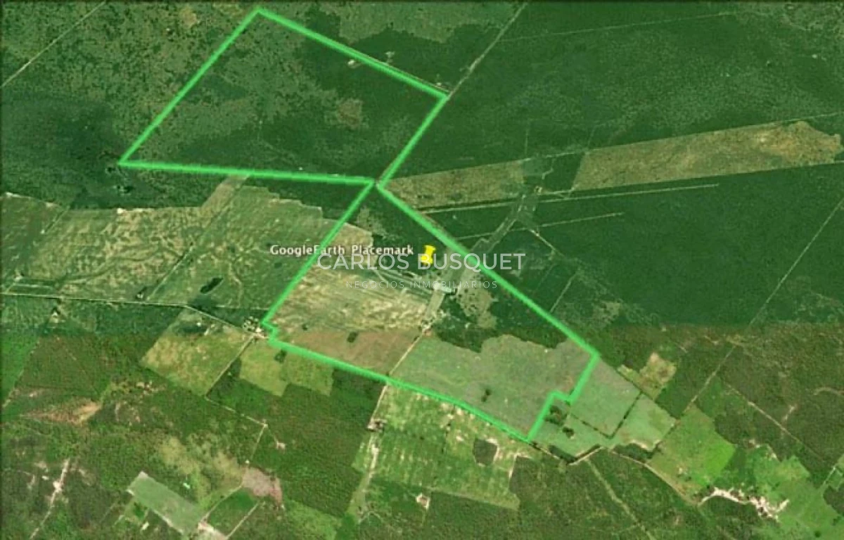 Campo Ref.1697 - Campo de 500 hectáreas en venta en Provincia de Formosa