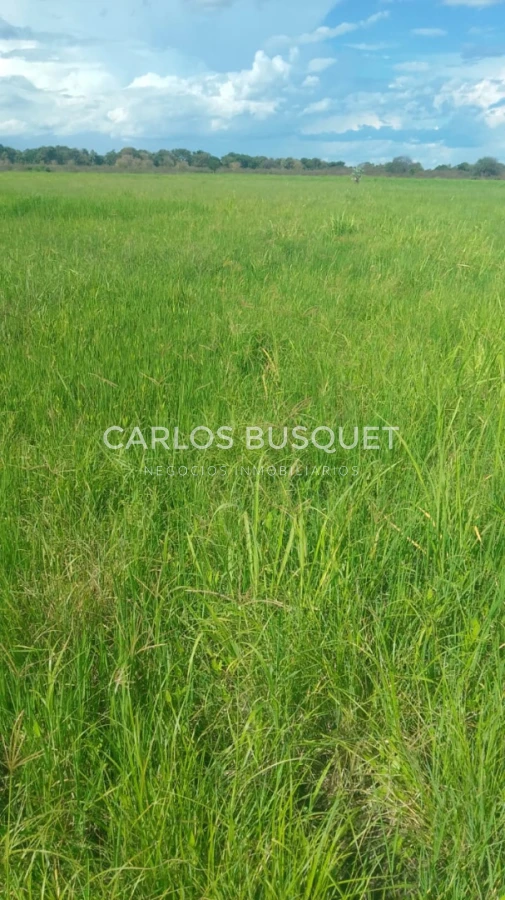 Campo Ref.1695 - Campo en venta de 20.600 has en Formosa 