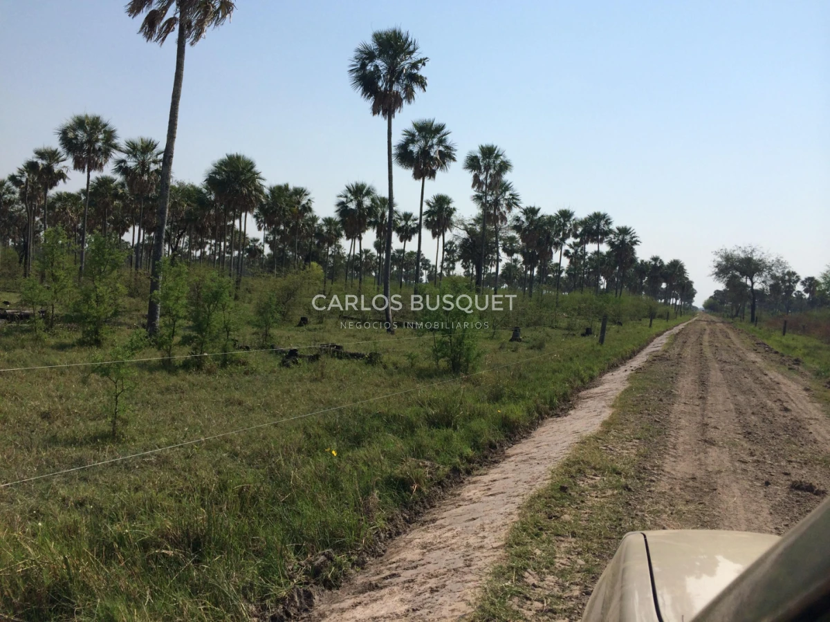 Campo Ref.1707 - Venta de 6.000 has. ganaderas en Formosa