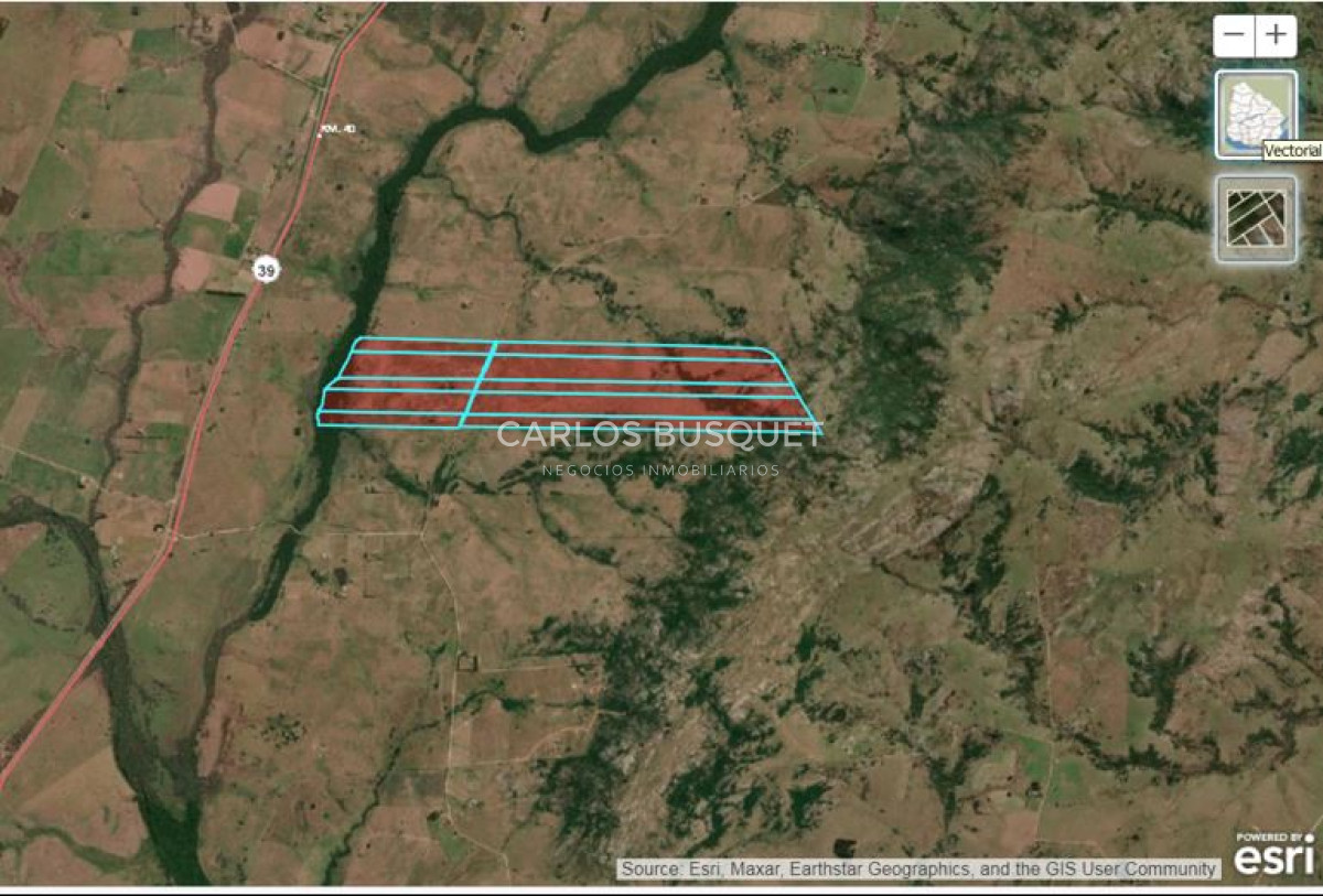 Campo Ref.1131 - Campo en venta 183 has. en Ruta 39