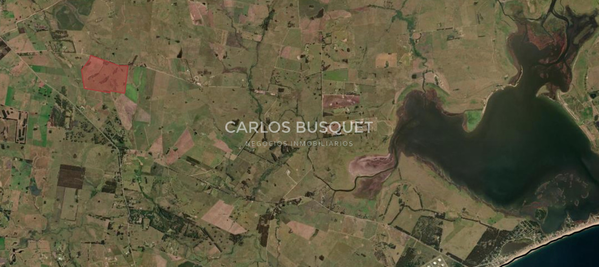 Campo Ref.311 - Campo en venta de 98 Hectáreas zona Ruta 104 