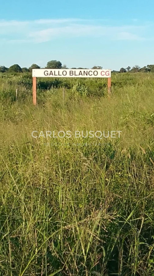 Campo Ref.1699 - Campo Ganadero de 1.400 hectáreas en Formosa, Argentina