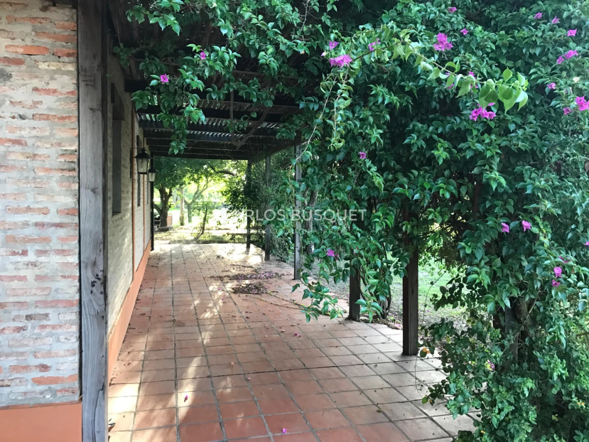 Campo Ref.1704 - Campo ganadero de 1.500 has. en venta en Formosa