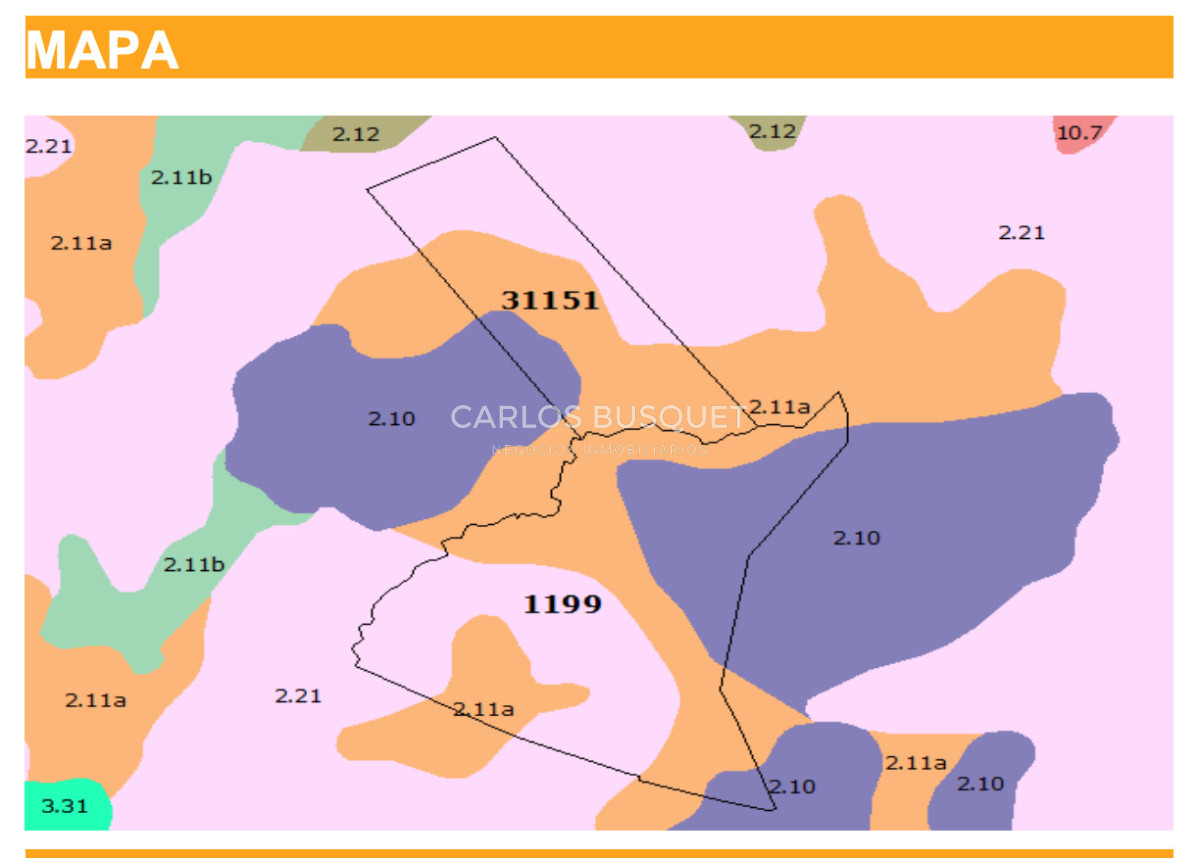 Campo Ref.451 - Campo en venta de 371 has. en Pan de Azúcar 