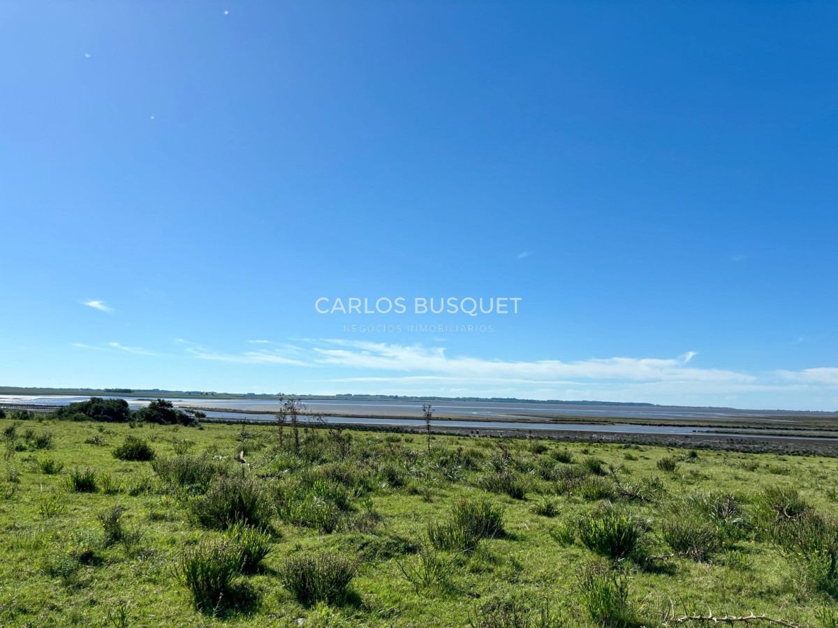 Campo Ref.542 - Campo de 189 has. en venta con costa de arroyo y Laguna de Jose Ignacio 