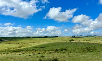 Campo en venta de 40 has. en Camino Sainz Martinez, Grazon
