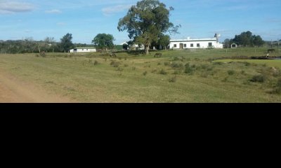 Campo en venta de 2145 has. en Treinta y Tres - Aptitud forestal- ganadero