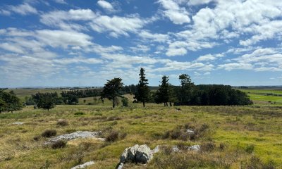 Campo parquizado en venta de 102 Hectáreas - próximo a ruta 104 !