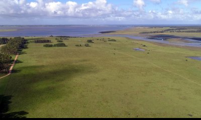 Campo de 189 has. en venta con costa de arroyo y Laguna de Jose Ignacio