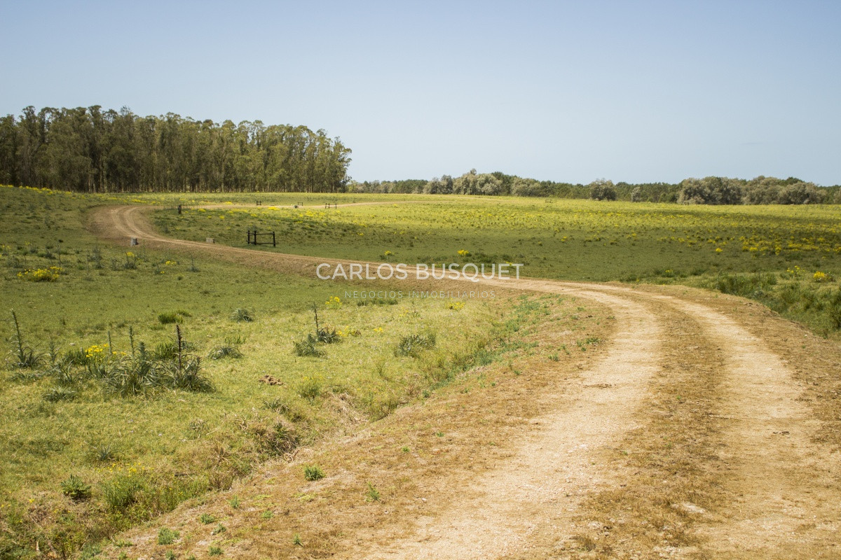 Terreno ID.1 - Terrenos en venta de 3.000 mts2, en La Pedrera, San Antonio.