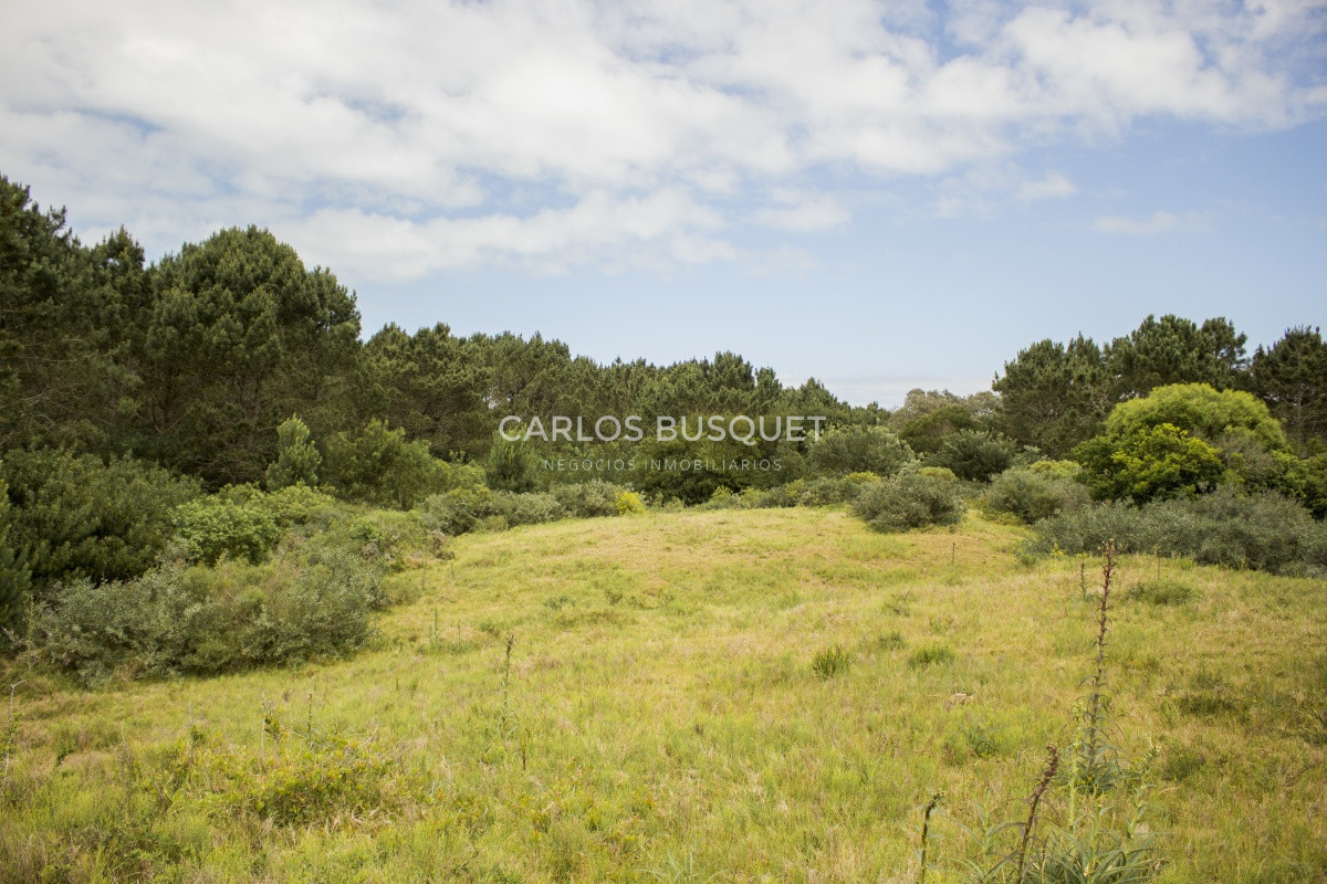 Terreno ID.1 - Terrenos en venta de 3.000 mts2, en La Pedrera, San Antonio.