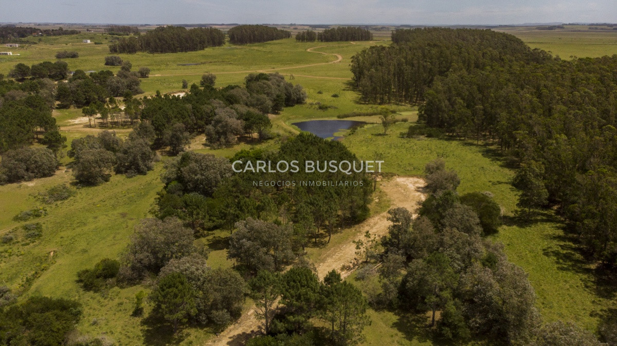 Terreno ID.1 - Terrenos en venta de 3.000 mts2, en La Pedrera, San Antonio.