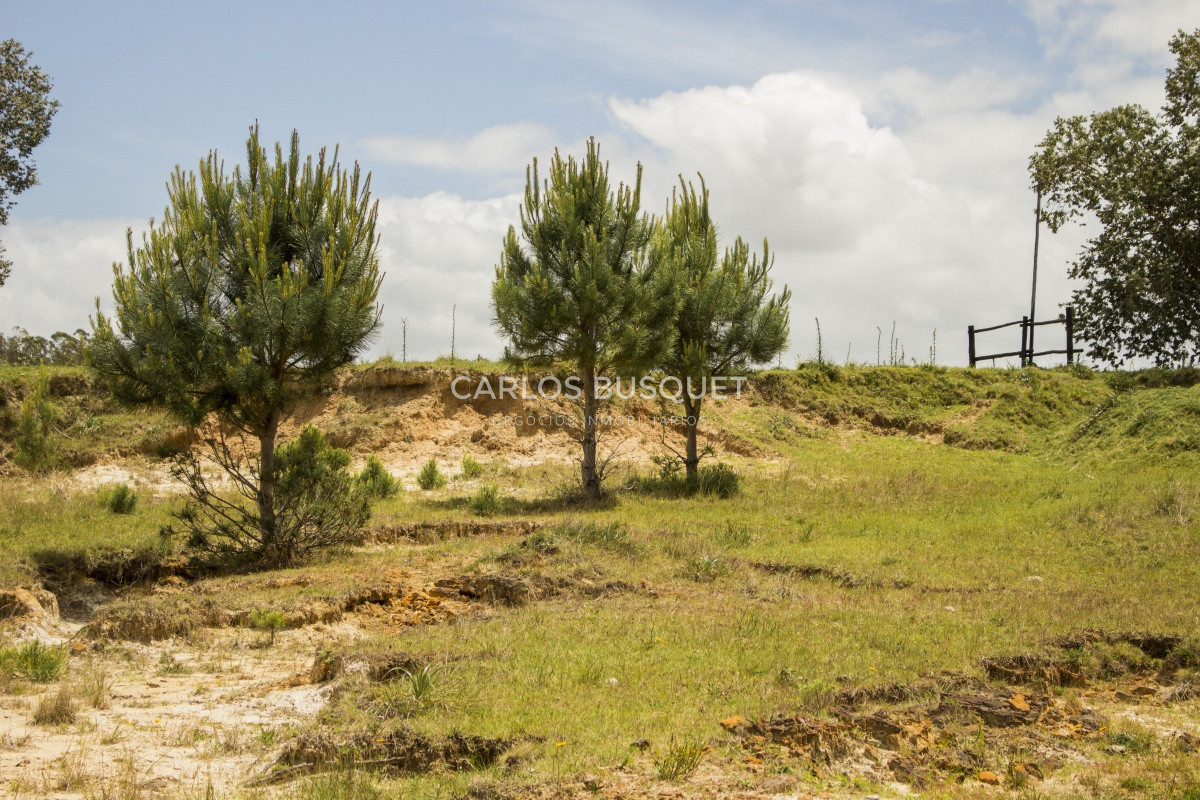 Terreno ID.1 - Terrenos en venta de 3.000 mts2, en La Pedrera, San Antonio.