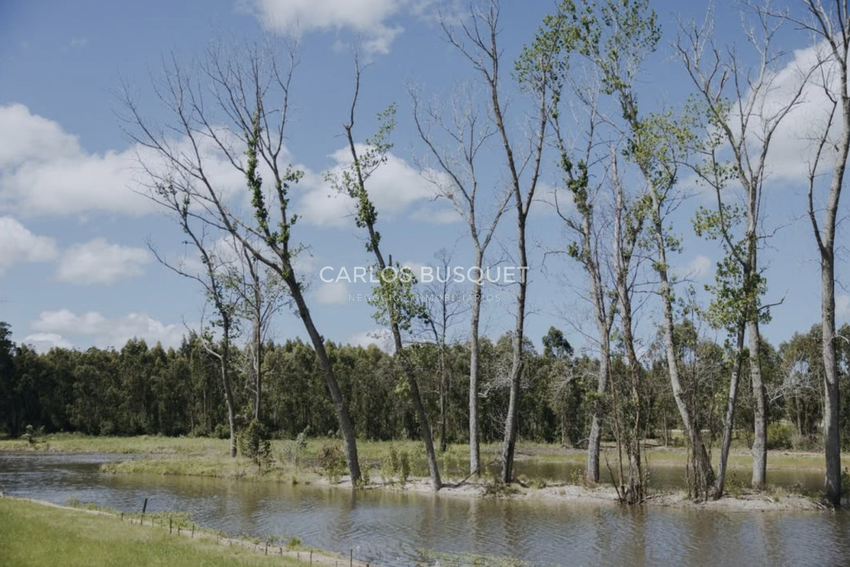 Terreno ID.1505 - Lote en venta de 4.000m2 en Puerto Quetzal