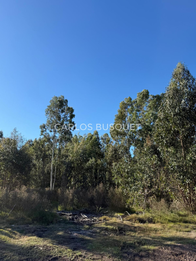 Terreno ID.1505 - Lote en venta de 4.000m2 en Puerto Quetzal