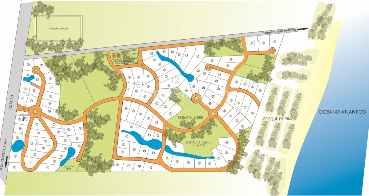 Terreno ID.1 - Terrenos en venta de 3.000 mts2, en La Pedrera, San Antonio.