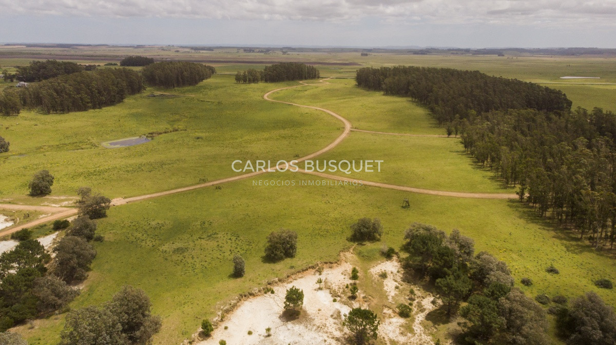 Terreno ID.1 - Terrenos en venta de 3.000 mts2, en La Pedrera, San Antonio.