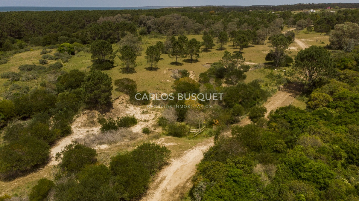 Terreno ID.1 - Terrenos en venta de 3.000 mts2, en La Pedrera, San Antonio.