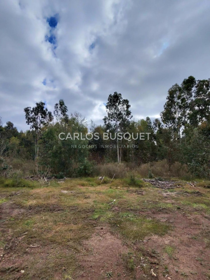 Terreno ID.1505 - Lote en venta de 4.000m2 en Puerto Quetzal