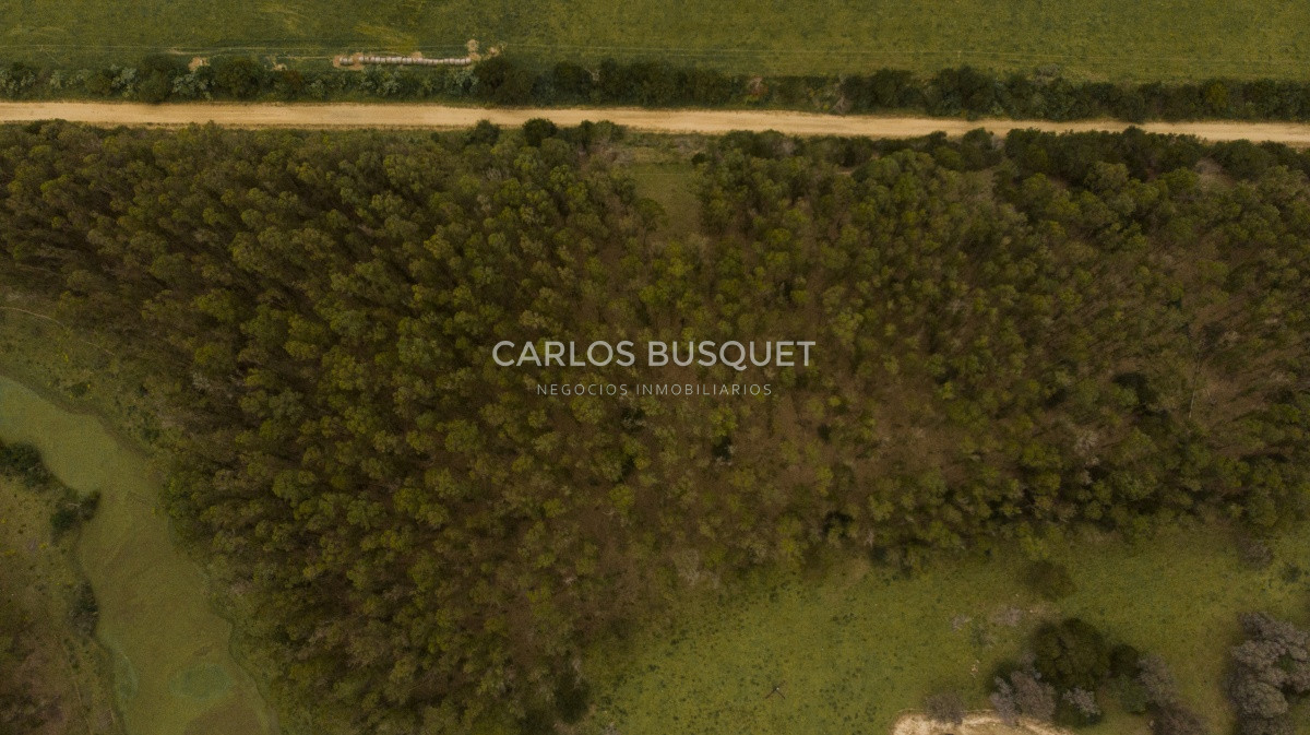 Terreno ID.1 - Terrenos en venta de 3.000 mts2, en La Pedrera, San Antonio.