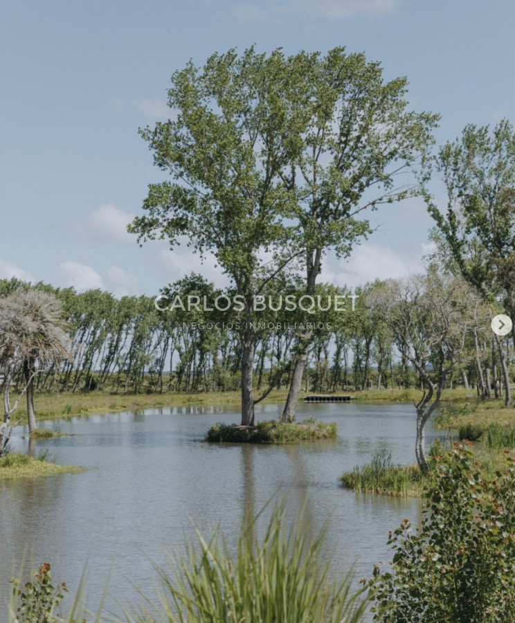 Terreno ID.1505 - Lote en venta de 4.000m2 en Puerto Quetzal