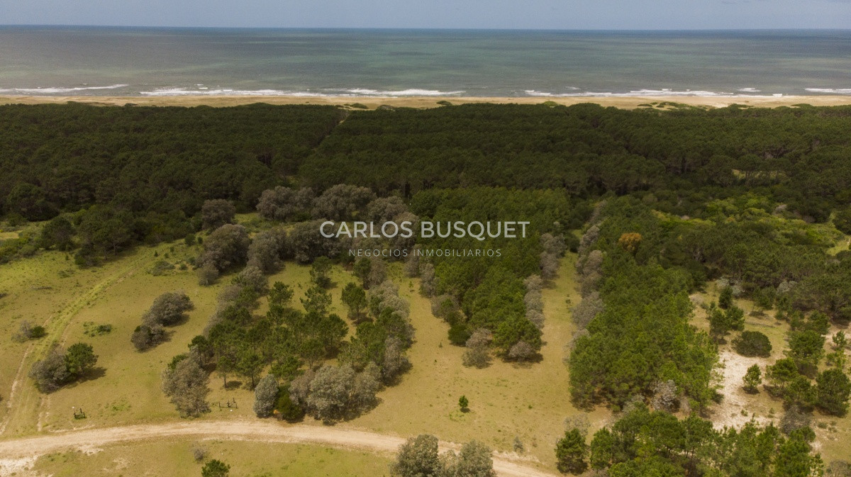 Terreno ID.1 - Terrenos en venta de 3.000 mts2, en La Pedrera, San Antonio.