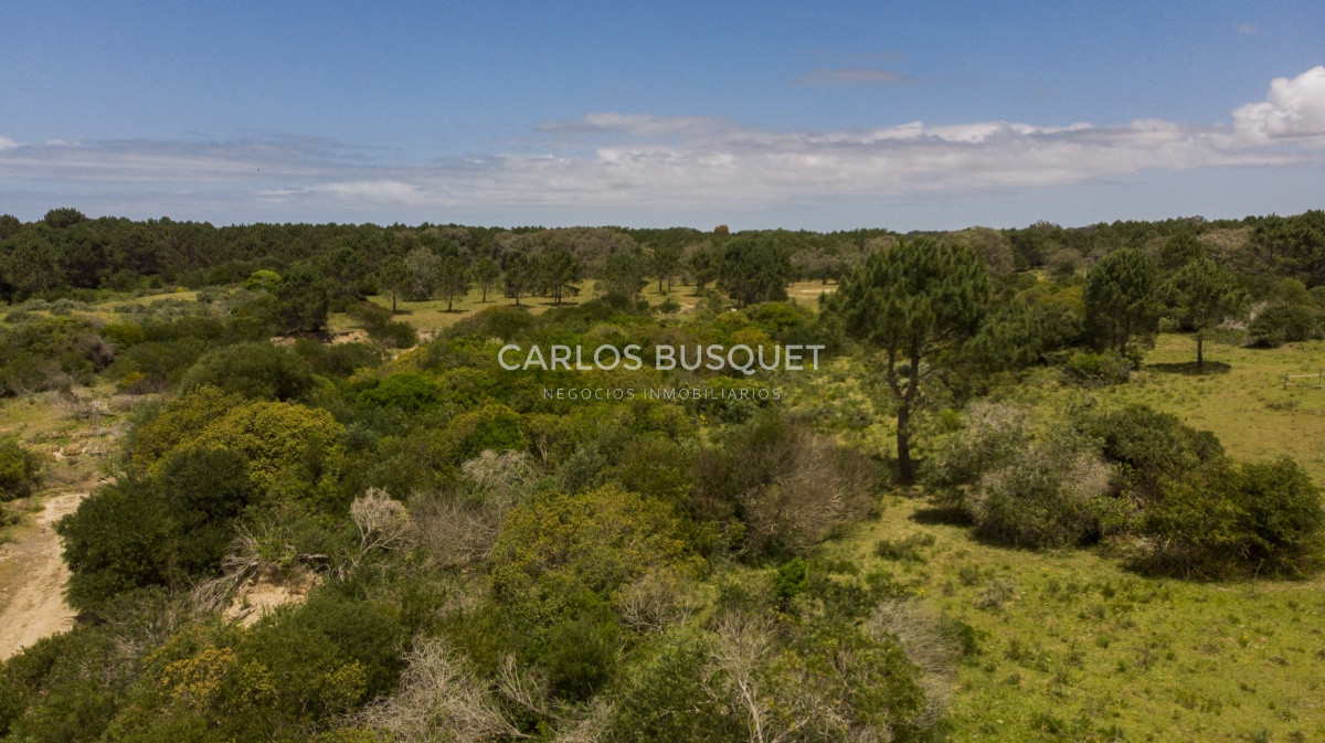 Terreno ID.1 - Terrenos en venta de 3.000 mts2, en La Pedrera, San Antonio.