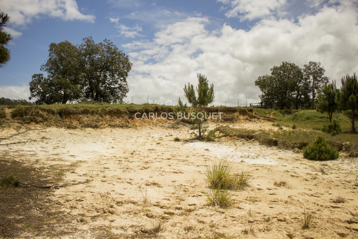 Terreno ID.1 - Terrenos en venta de 3.000 mts2, en La Pedrera, San Antonio.