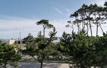 Venta Apartamento 2 Dormitorios, y Dependencia, Playa Mansa, Punta del Est3