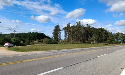 Chacra de 8 hectáreas con 147 mts sobre la Ruta 9!