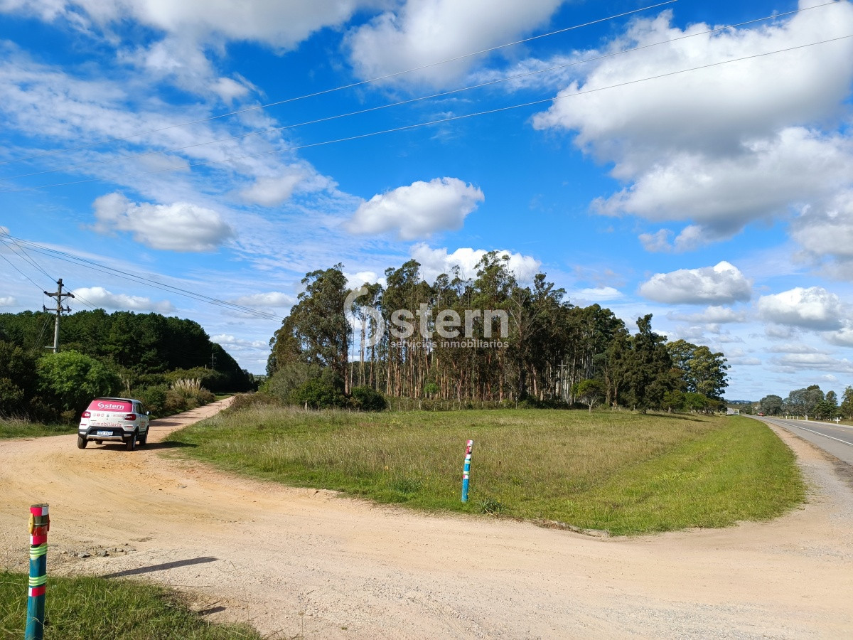 Sobre Arroyo y Camino hacia ruta! - GoPunta - Portal Inmobiliario de Punta del Este - Maldonado