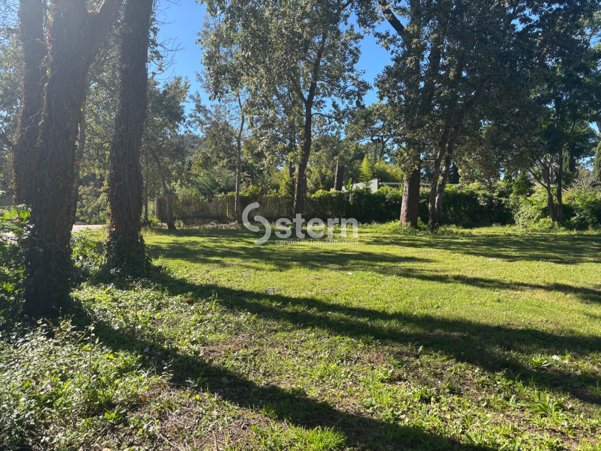 Lugano - GoPunta - Portal Inmobiliario de Punta del Este - Maldonado