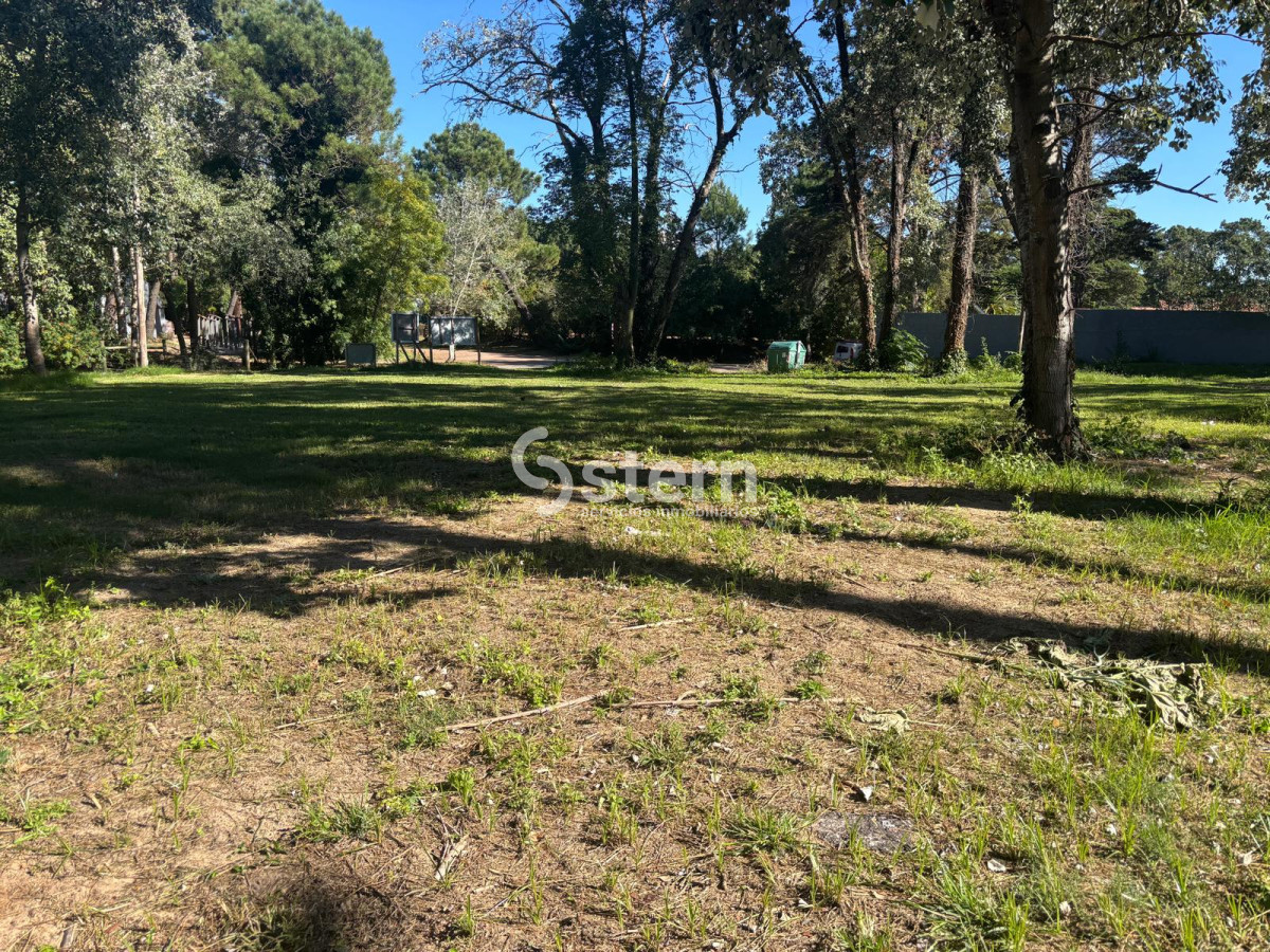 Lugano - GoPunta - Portal Inmobiliario de Punta del Este - Maldonado