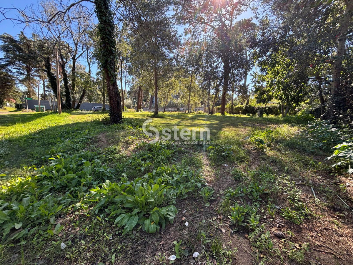 Lugano - GoPunta - Portal Inmobiliario de Punta del Este - Maldonado