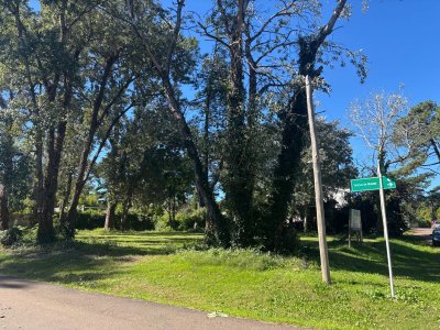 Venta de Terreno, Lugano, Punta del Este!
