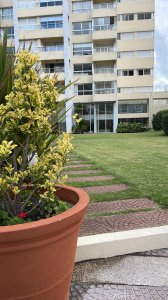 Venta y Alquiler Temporario Apartamento 1 Dormitorio y medio, Playa Brava, Punta del Este