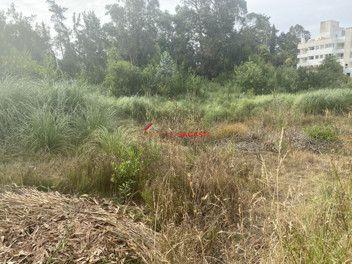 Terreno ID.3596 - Terreno en Rincón del Indio