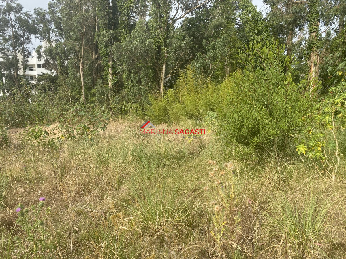 Terreno ID.3596 - Terreno en Rincón del Indio
