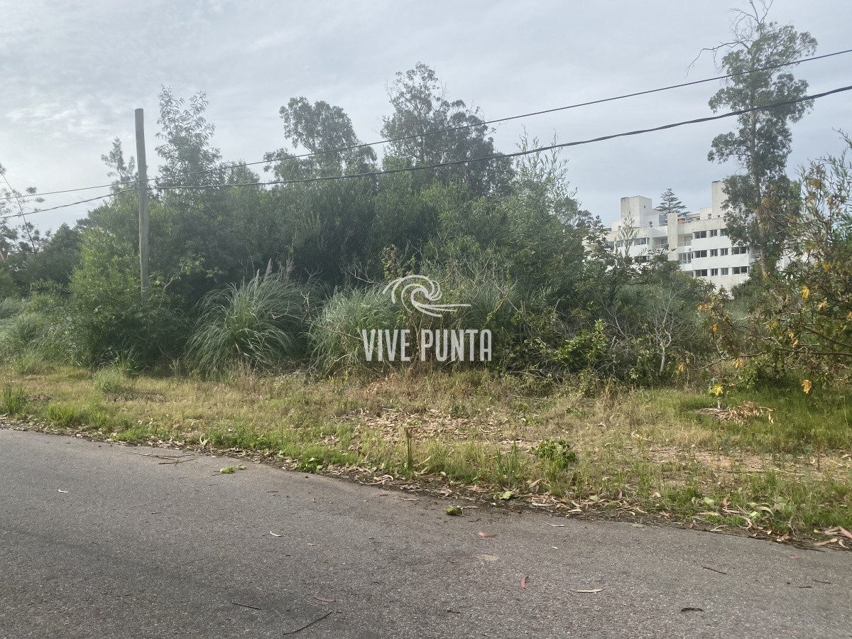 Terreno ID.333 - Terreno en Rincón del Indio