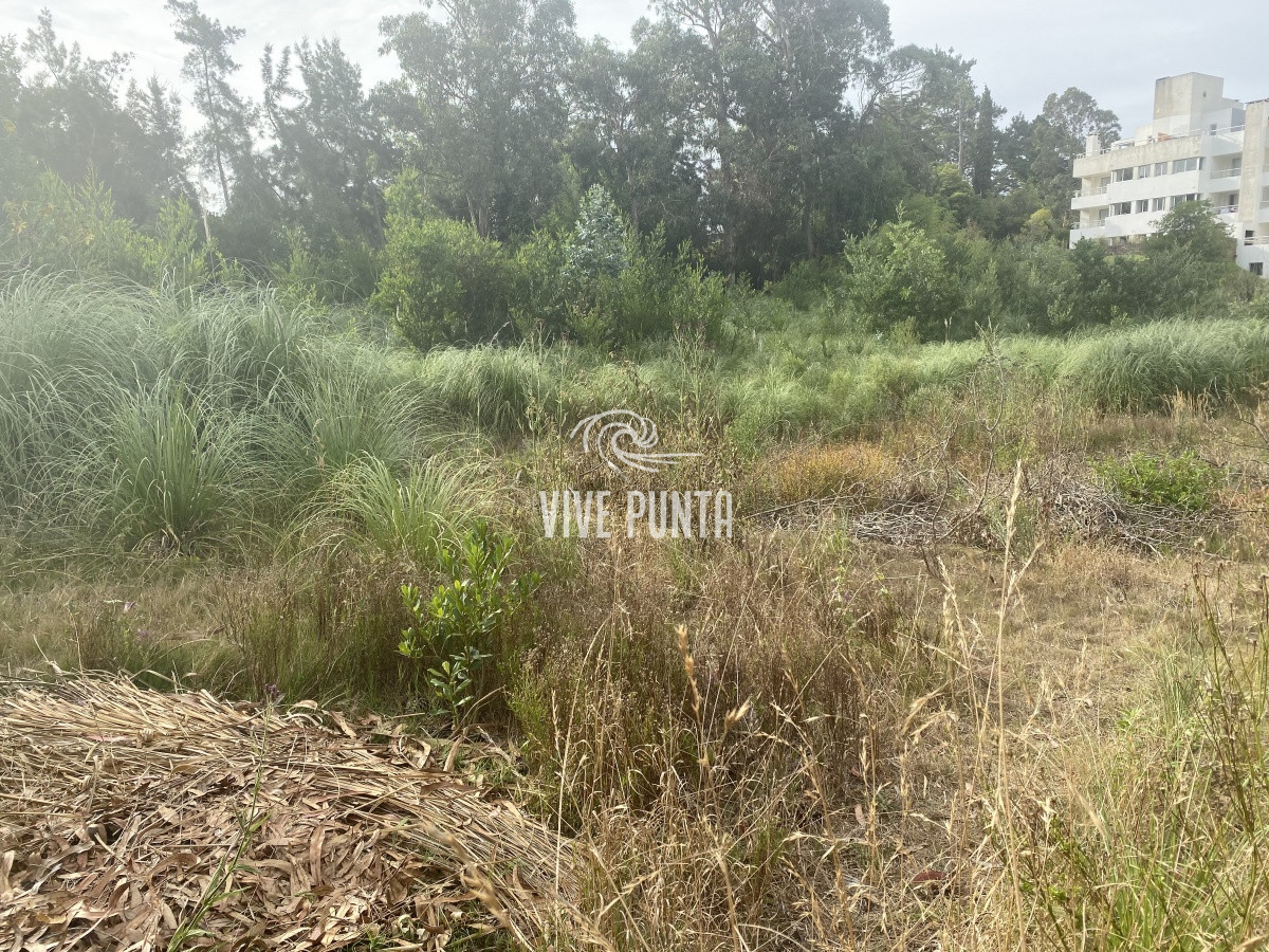 Terreno ID.333 - Terreno en Rincón del Indio