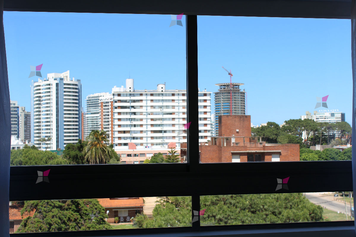 Vista